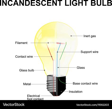 science diagrams of bulb 
